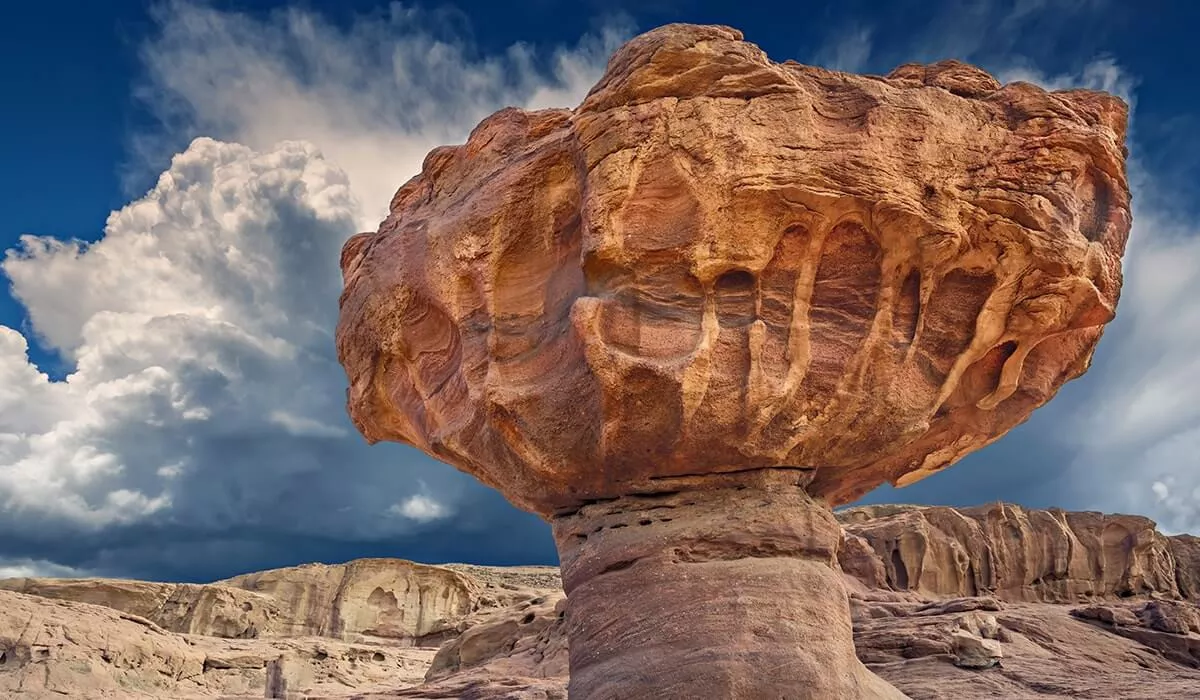 Todos à Terra Santa