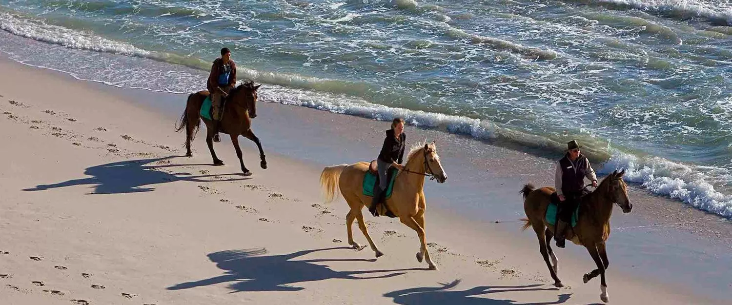Praia de Pipa - Tibau do Sul