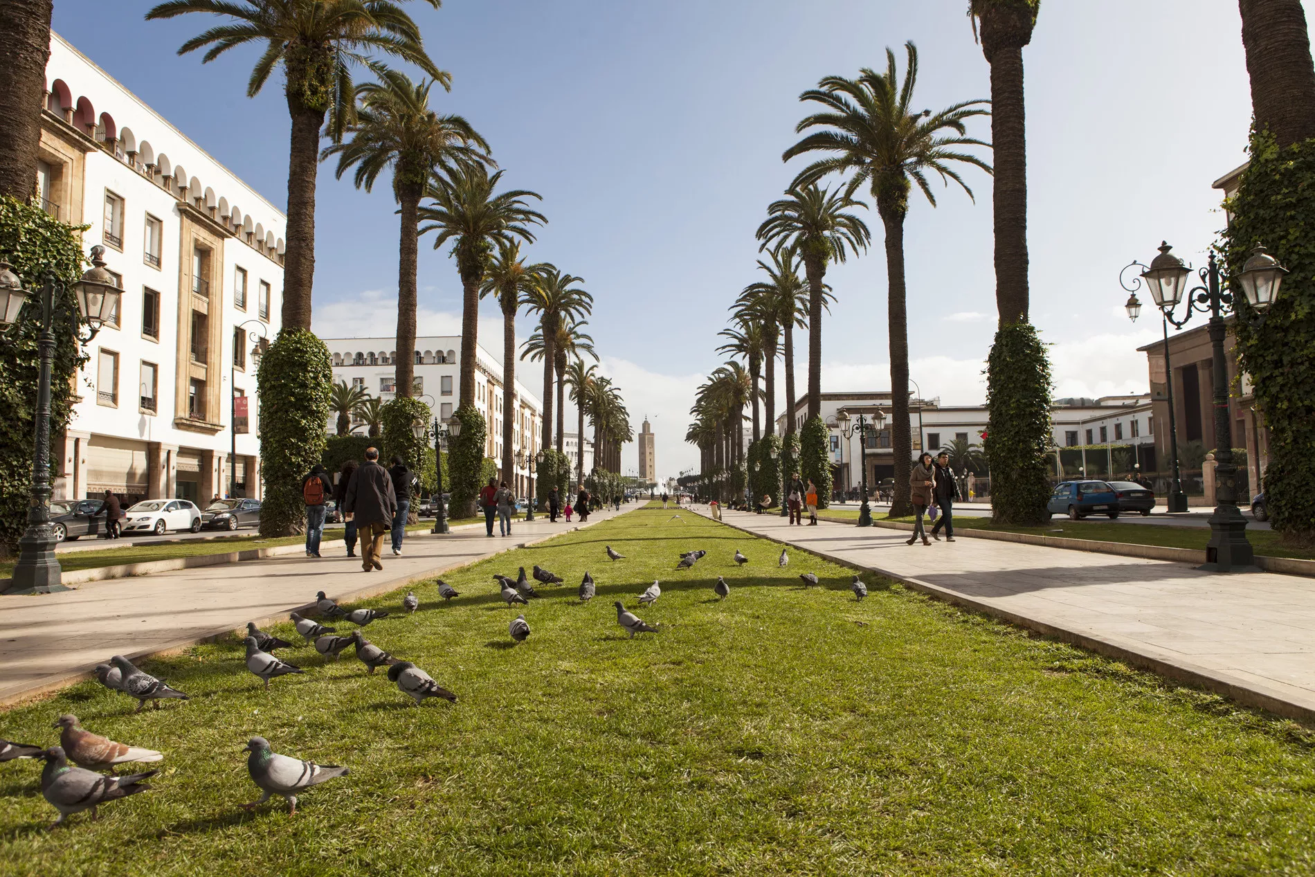 Grande Tour do Marrocos 