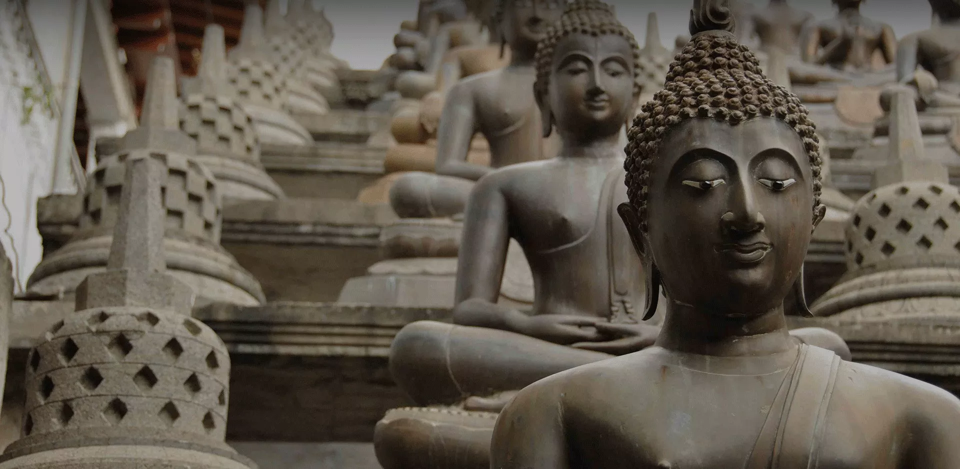 Sri Lanka Primeiras Impressões