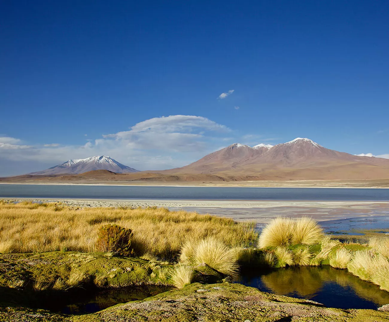 Travessia do Atacama Uyuni com Explora