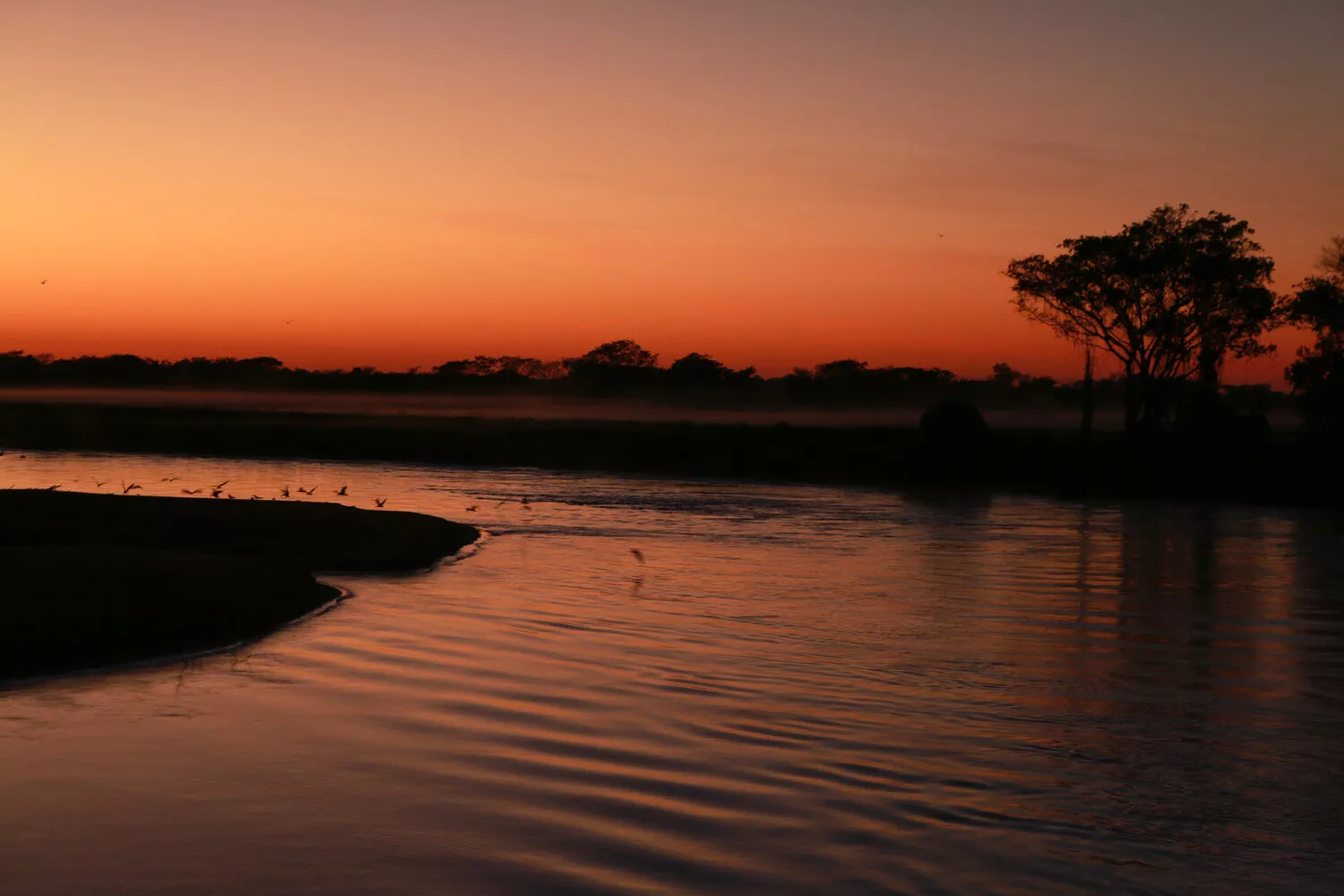 Cruzeiro no Pantanal Rio Mutum