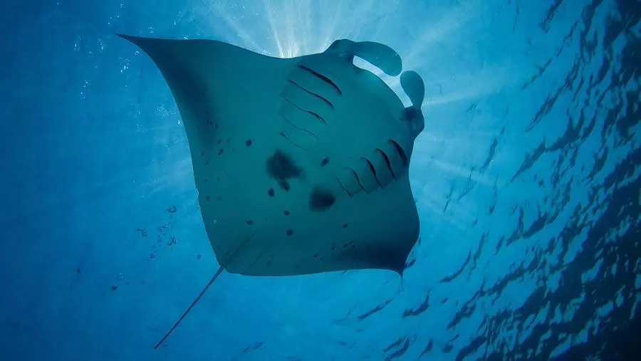 Kudadoo Maldives Private Island