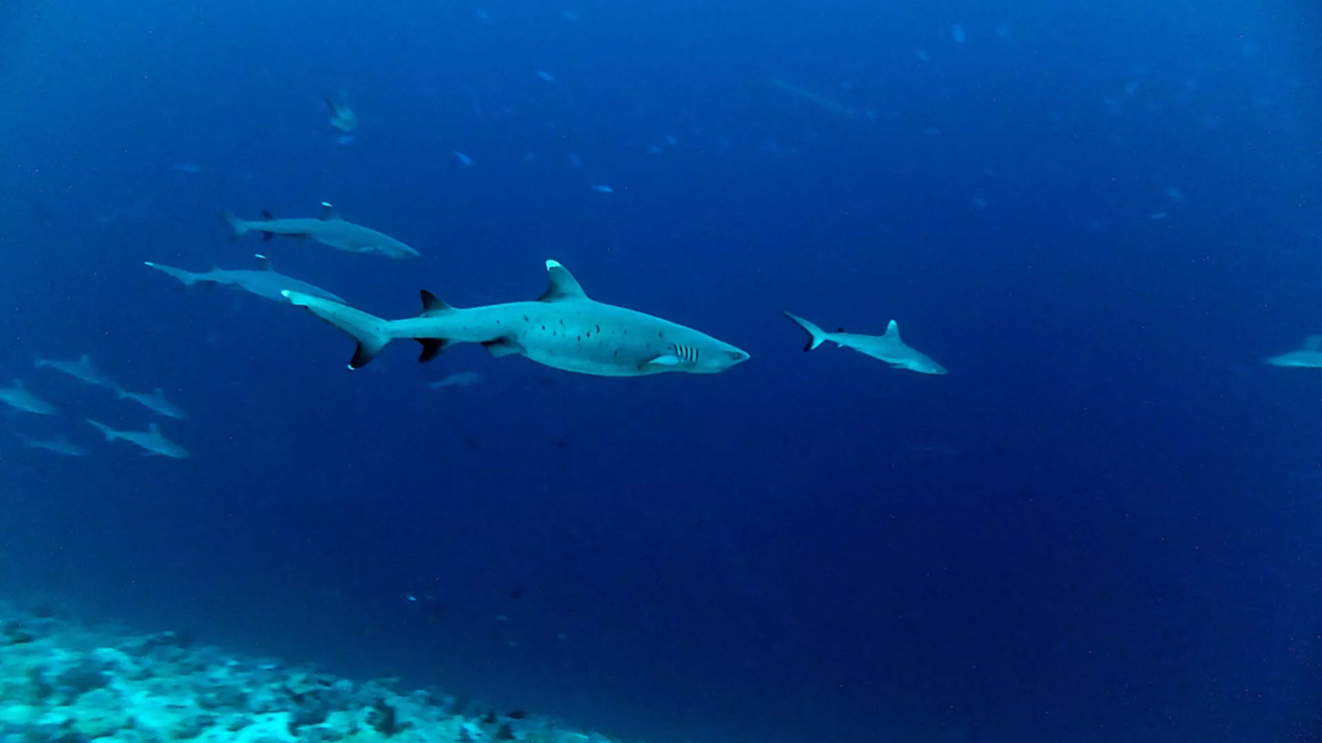 You & Me by Cocoon Maldives 