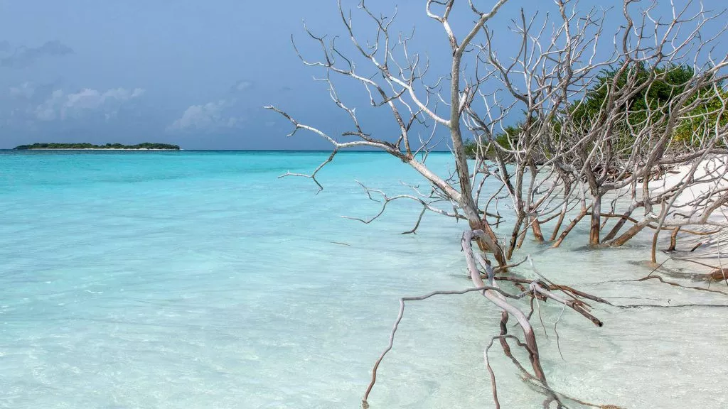 You & Me by Cocoon Maldives 