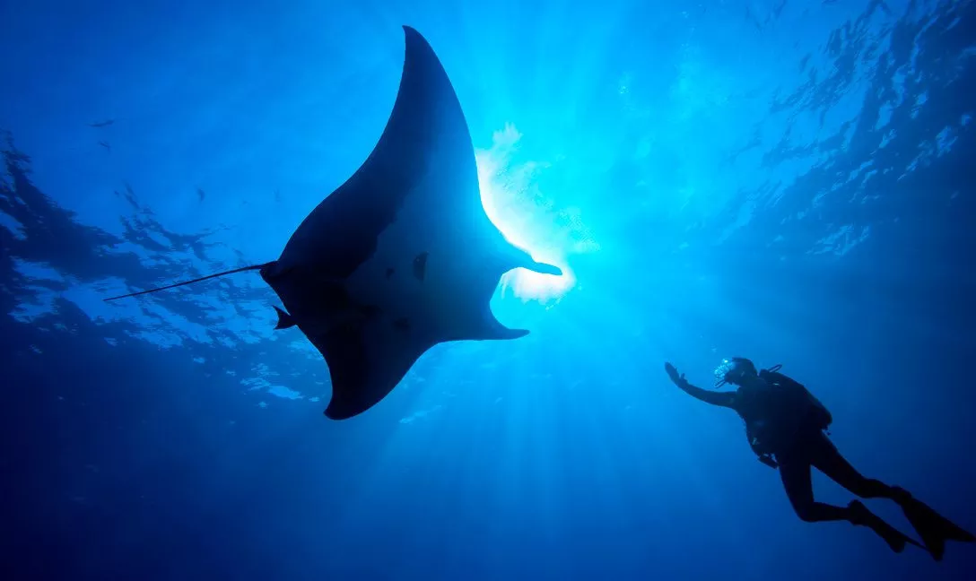 Dusit Thani Maldives