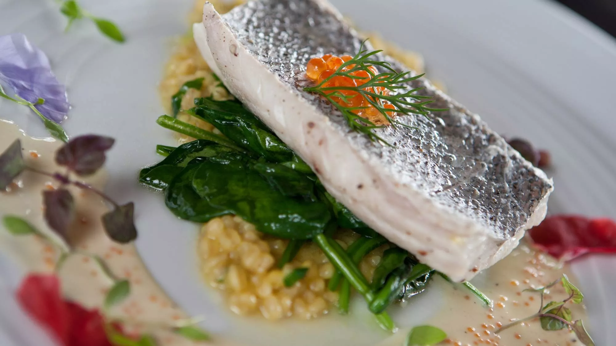 Siyam World Maldives