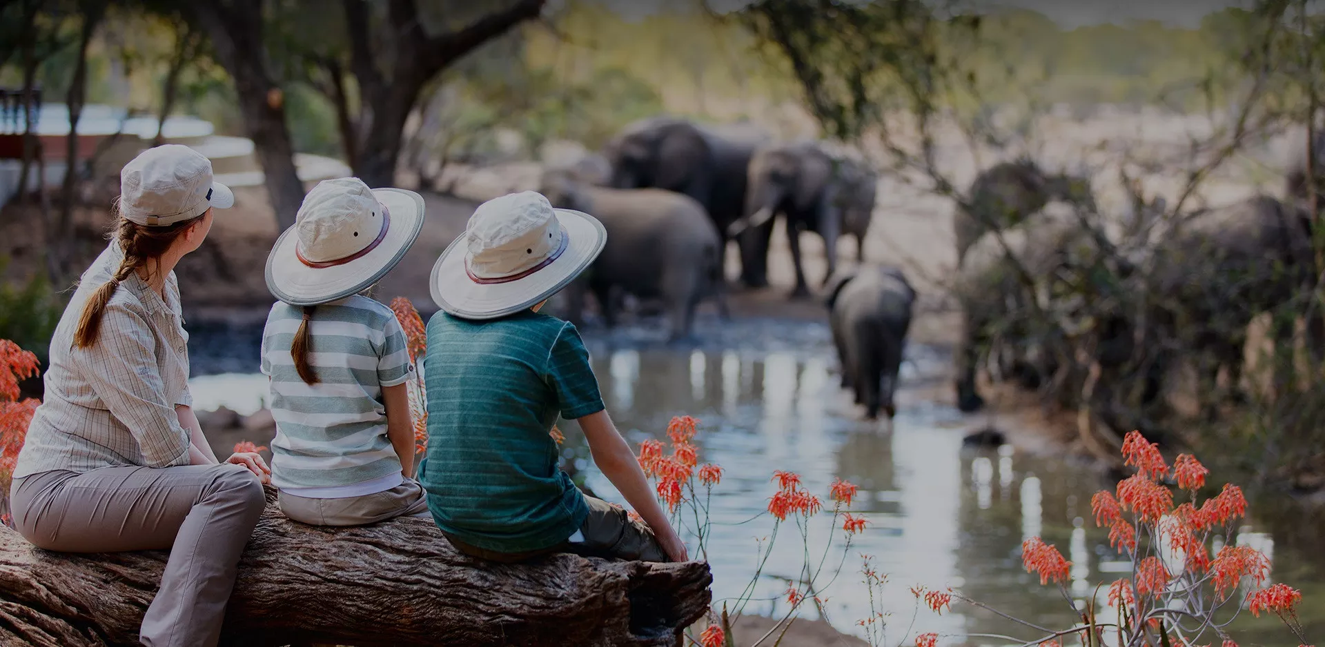 Quênia & Tanzânia Safari para Famílias