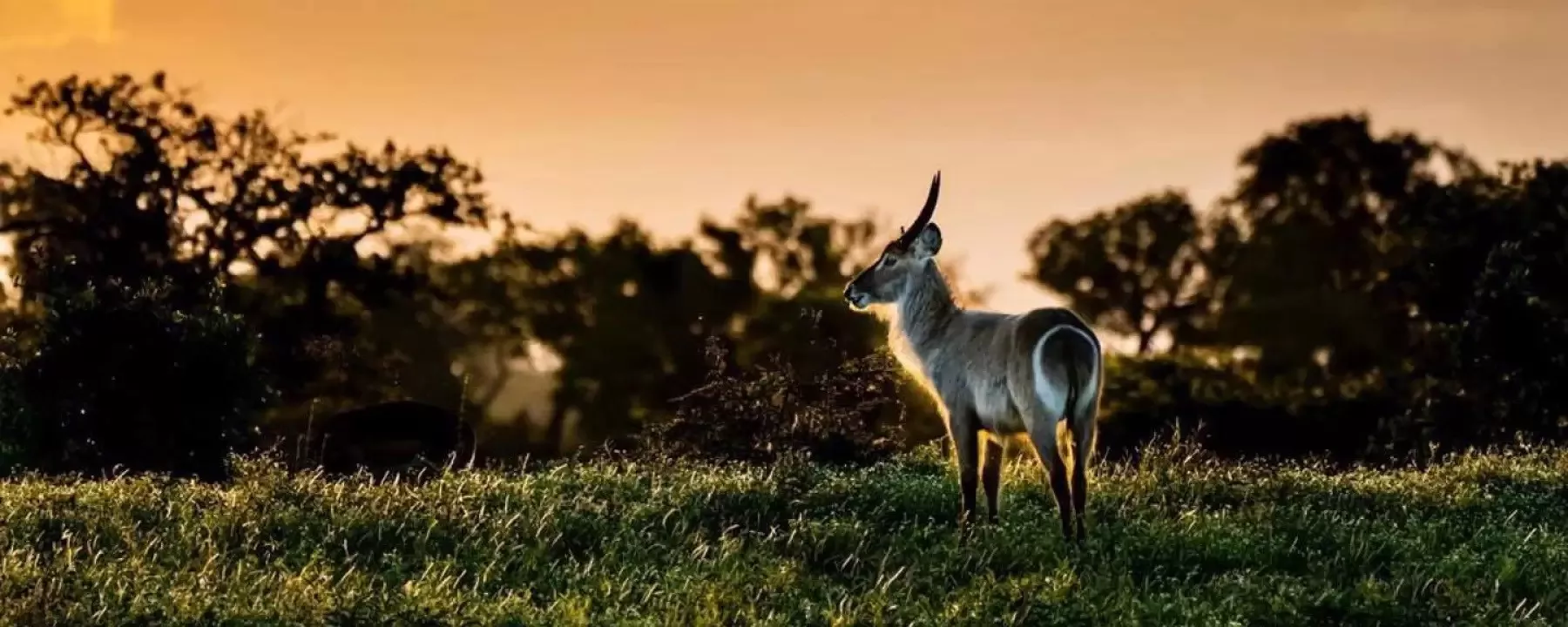 África do Sul e Victória Falls em Alto Estilo