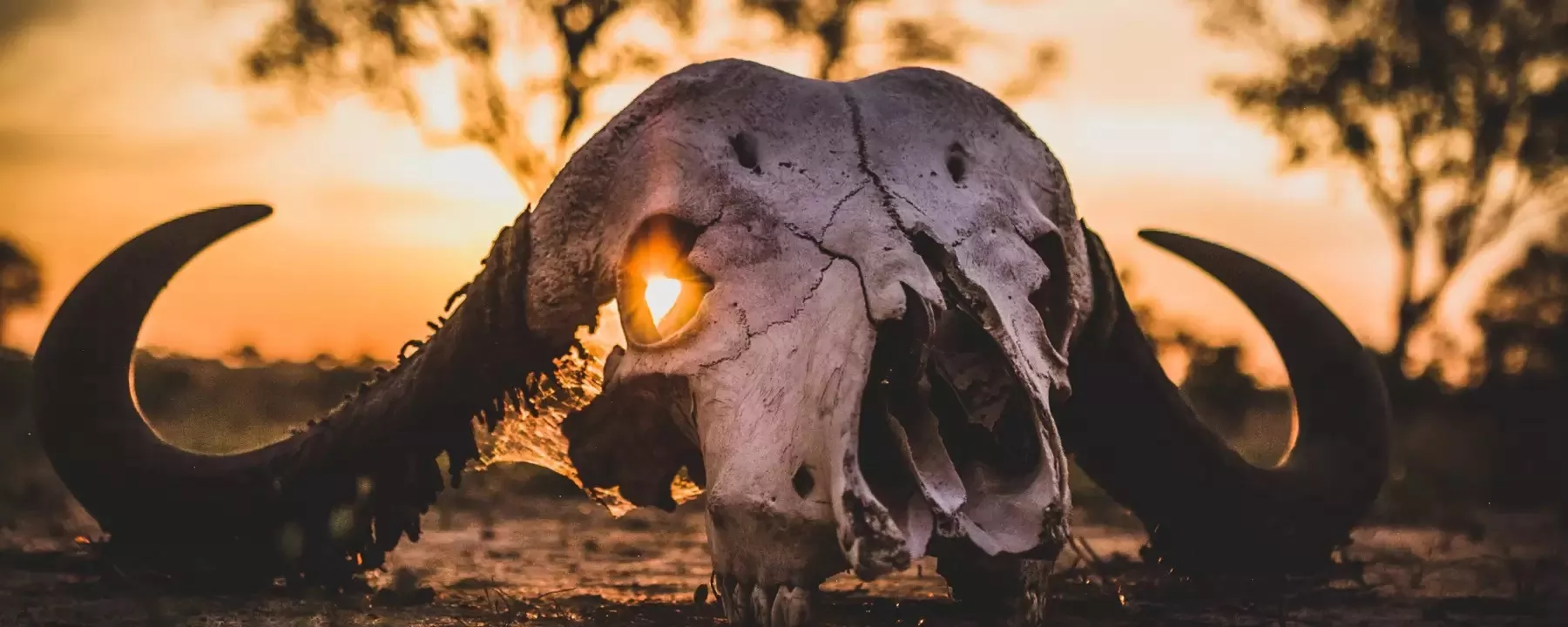 África do Sul e Victória Falls em Alto Estilo