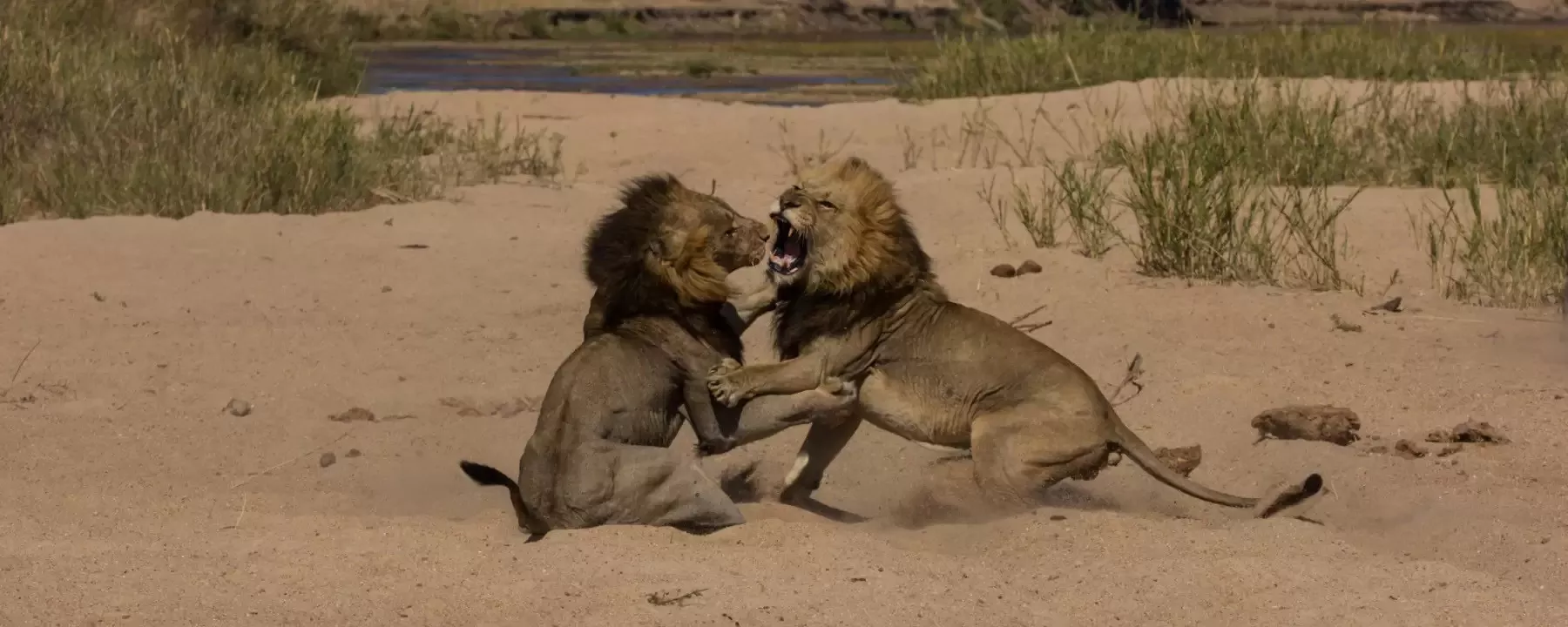 África do Sul e Victória Falls em Alto Estilo