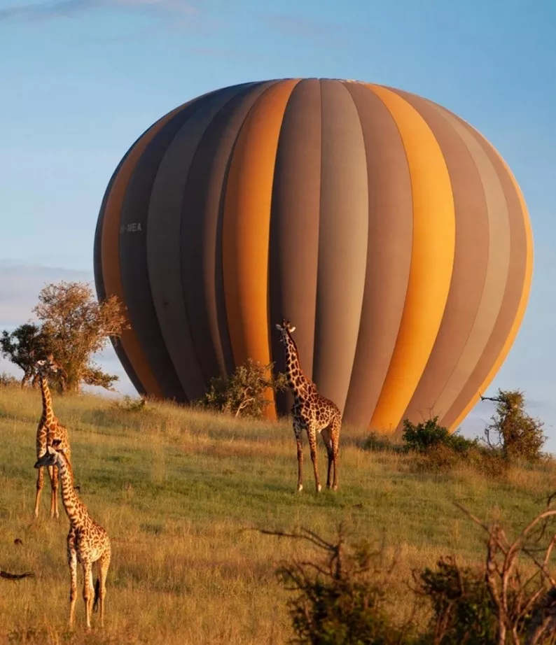 Arusha, Singita & Zuri Zanzibar