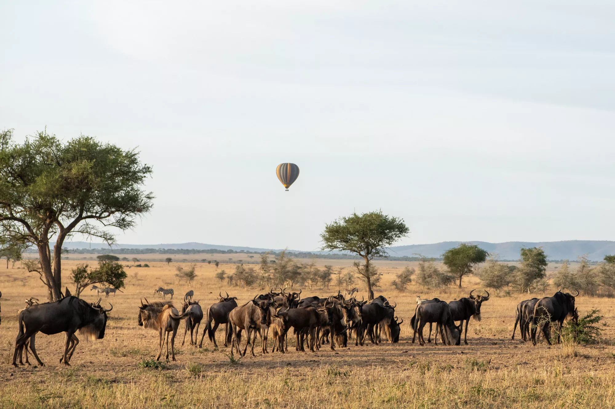 Arusha, Singita & Zuri Zanzibar
