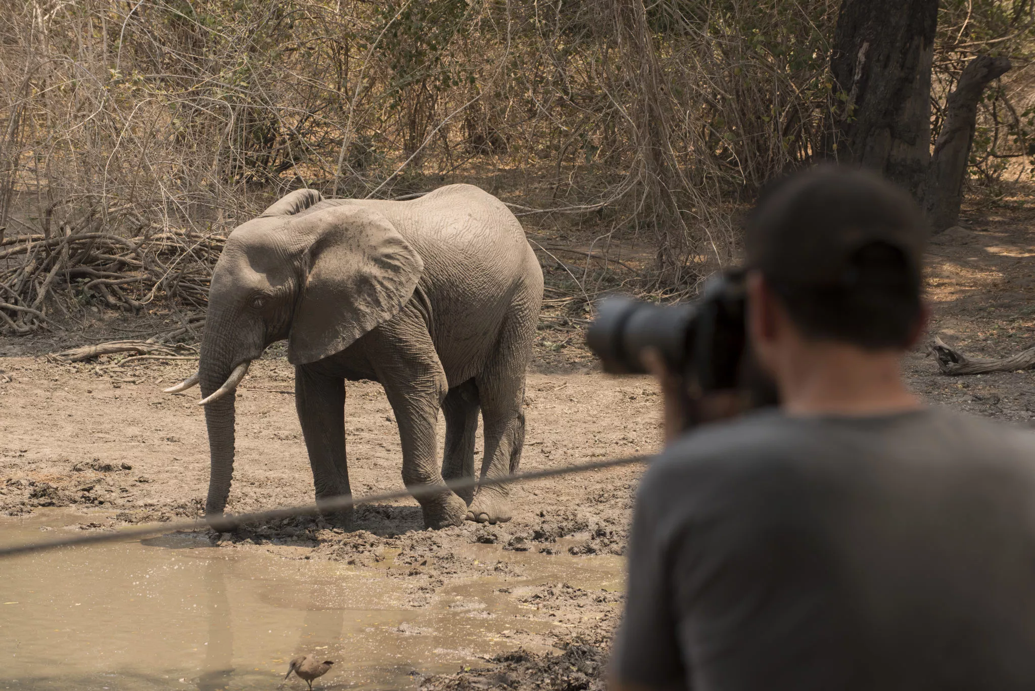 Victoria Falls e Wildlife Safari