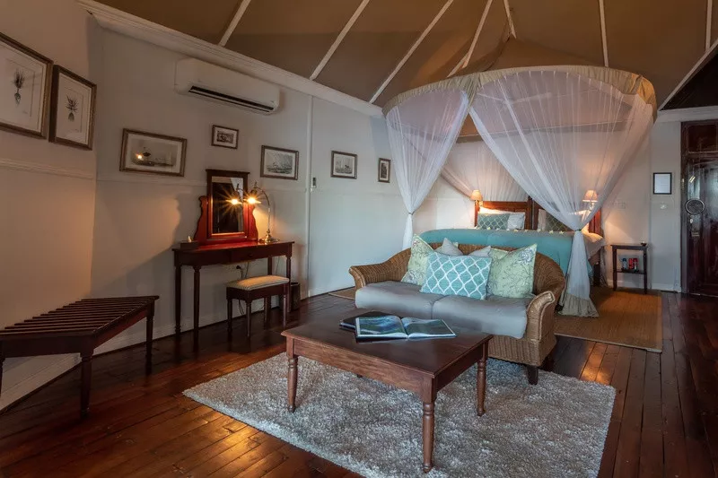 Espetacular Livingstone