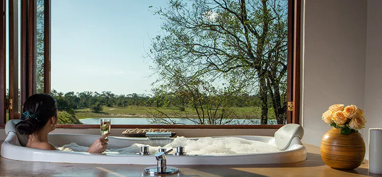 Safari na África do Sul em Sabi Sand e Cape Town 