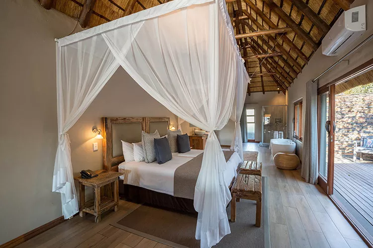 Safari na África do Sul em Sabi Sand e Cape Town 