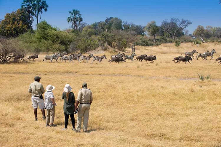 Viagem dos Sonhos África Austral