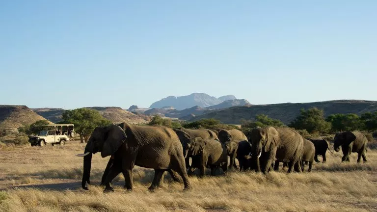 Safari Privativo by andBeyond