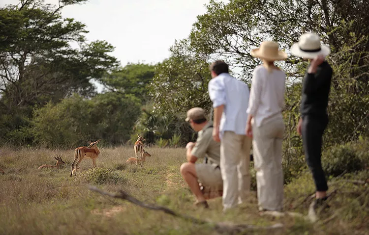 With Love South Africa & Moçambique andBeyond