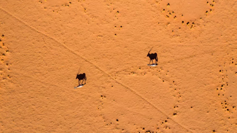 Fly Safári na Namíbia 