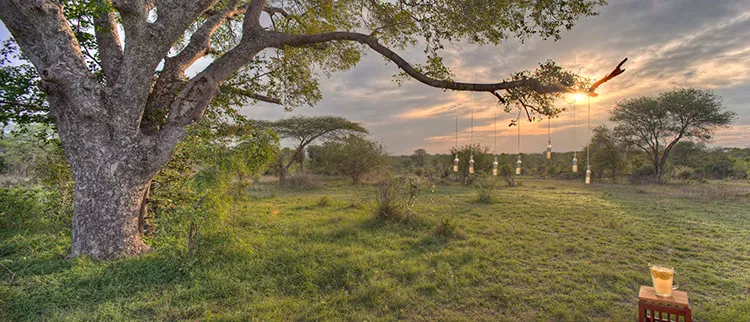 Safari Wild Child Adventure - Luxury