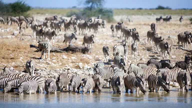 Fly Safári na Namíbia 