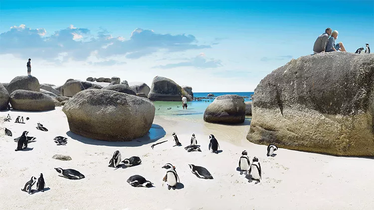 Safari Wild Child Adventure - Luxury