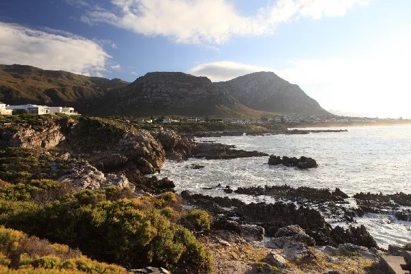 Vinícolas, Baleias e Vida Selvagem - Luxury