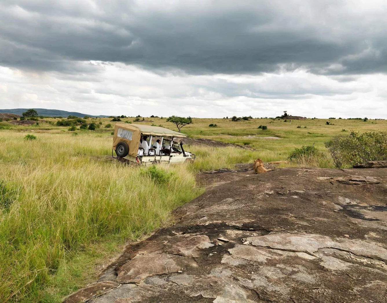 Grande Migração by Bushtops Camp 