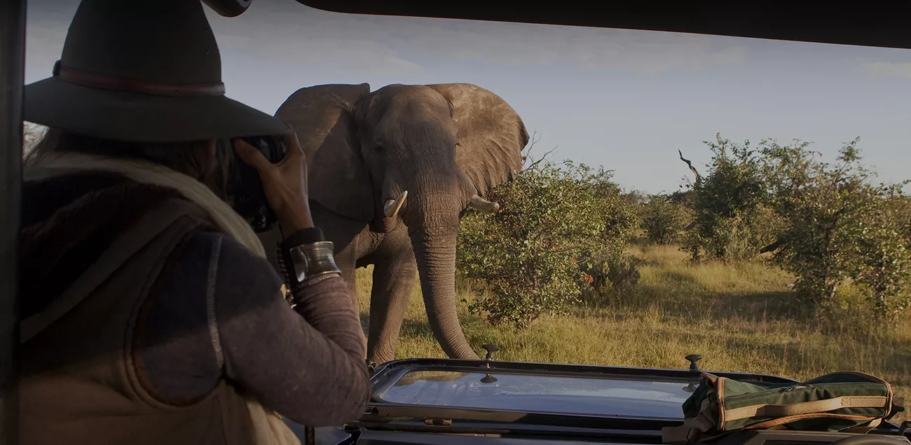 Botswana e Zimbabue by Great Plains Conservation