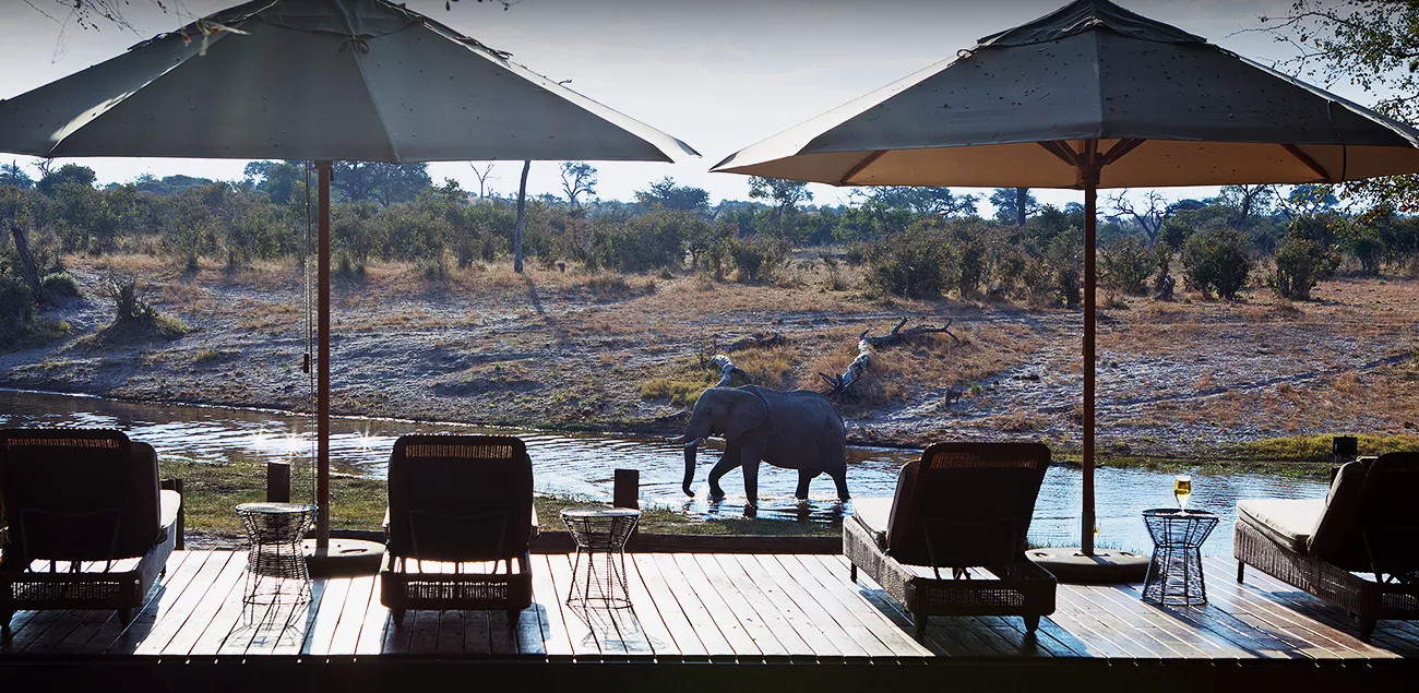 Botswana Highlights