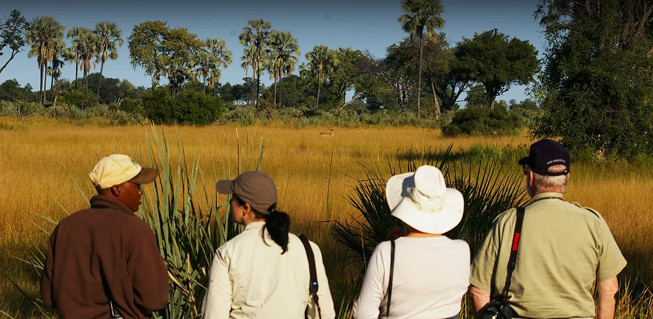 Botswana Highlights