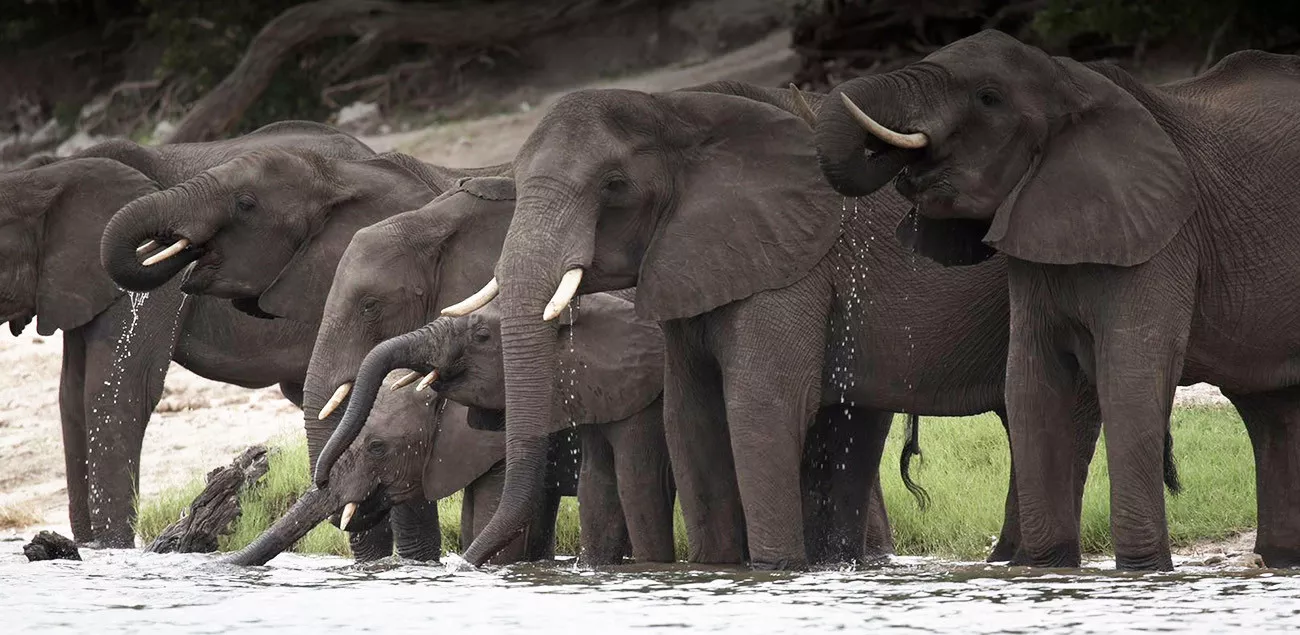 Riquezas de Botswana