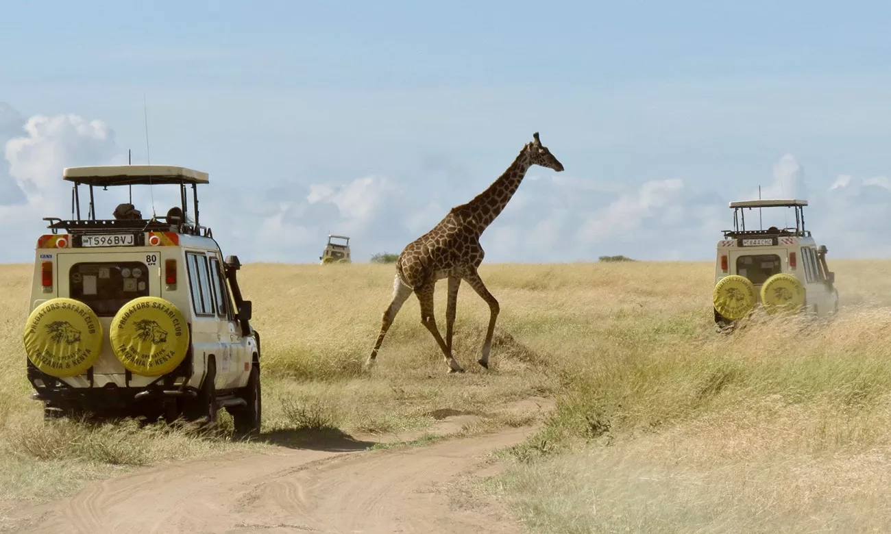 Tanzânia Inesquecível e Zanzibar