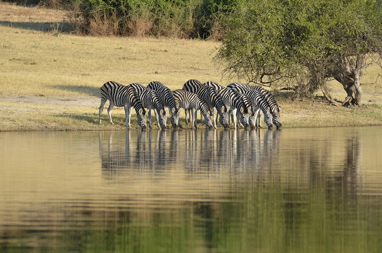 Tanzânia Inesquecível e Zanzibar