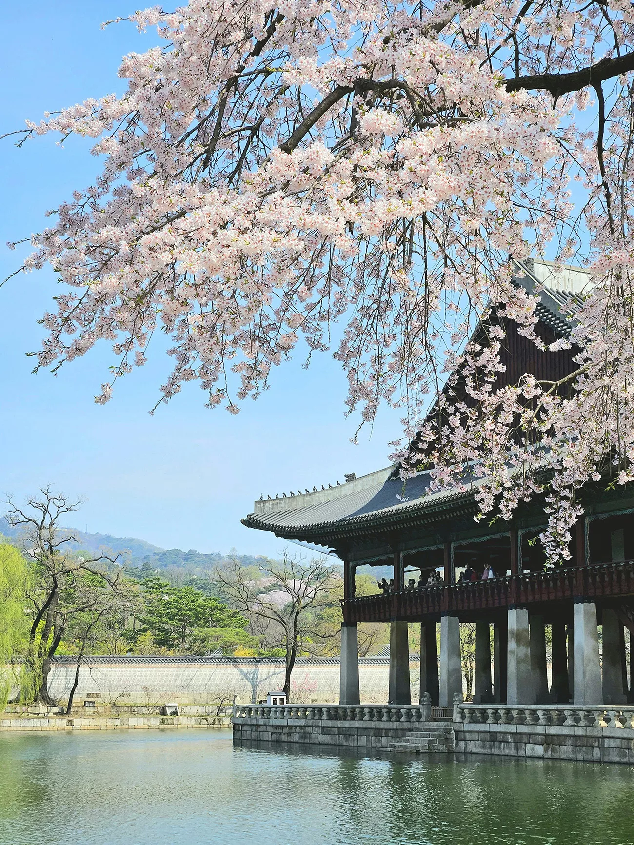 Cores da Coreia 