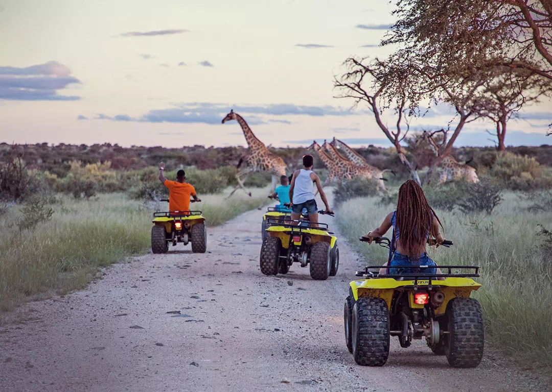 Cape Town & Safári na Reserva Privativa de Madikwe