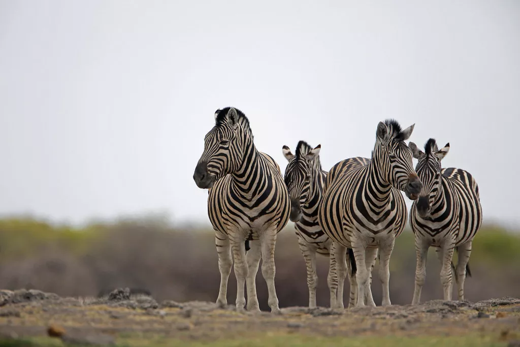 Fly around Namibia