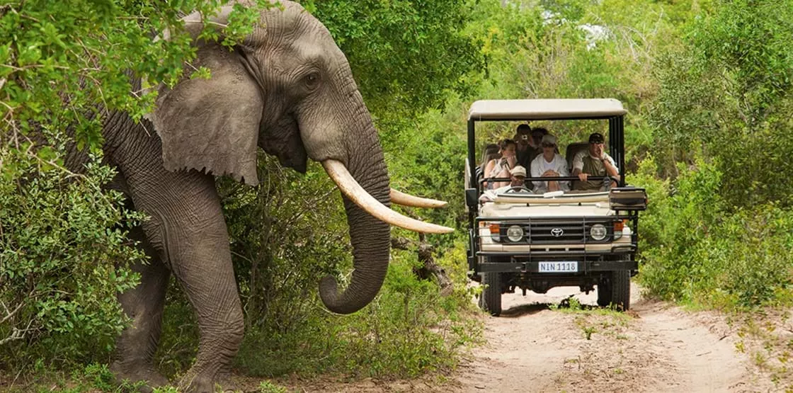 Cape Town & Safári na Reserva Privativa Shamwari