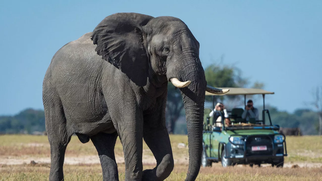 Fly Around Zimbabwe