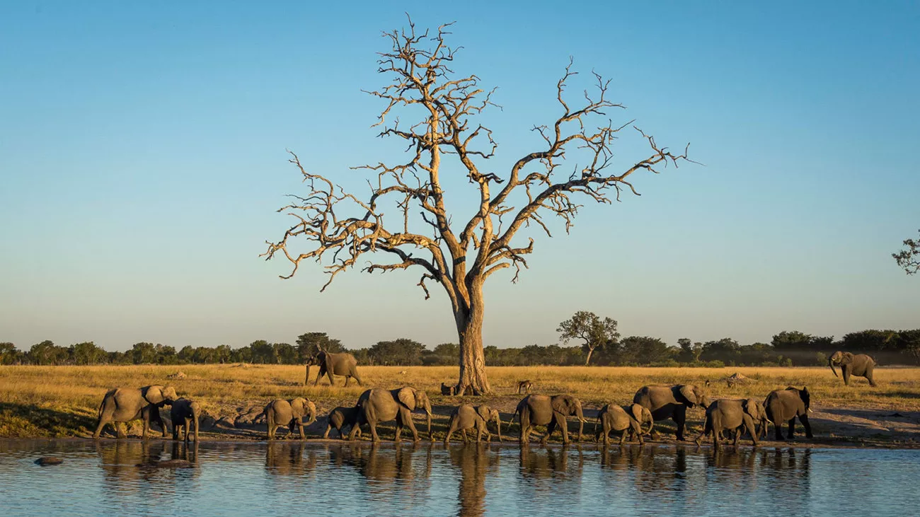 Fly Around Zimbabwe