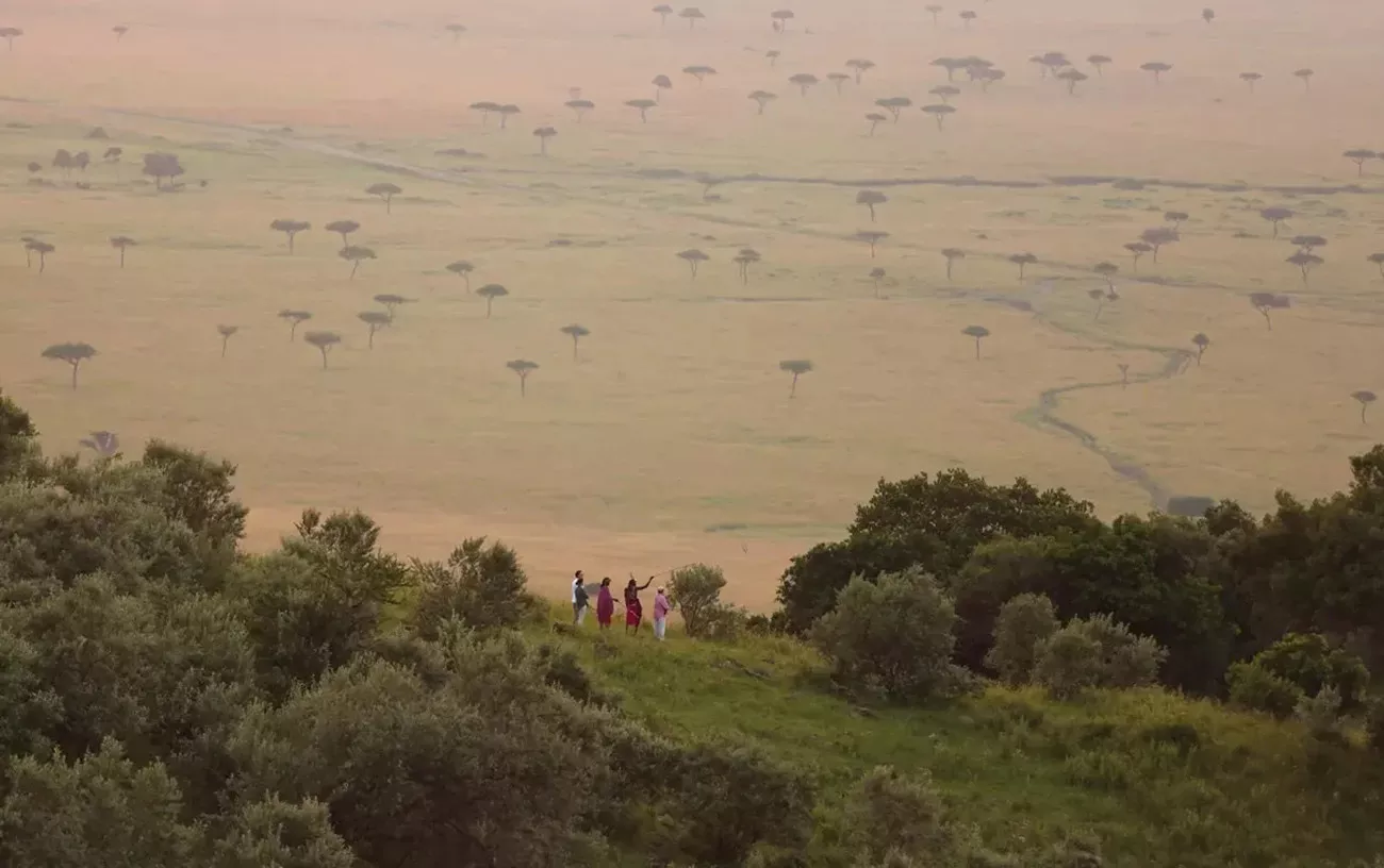Safari Deluxe em Angama Mara