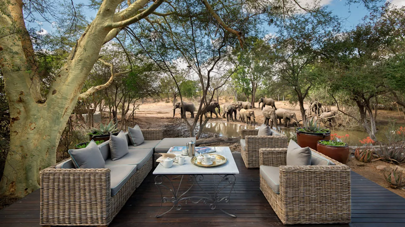 Aventura Wild Child na África Austral