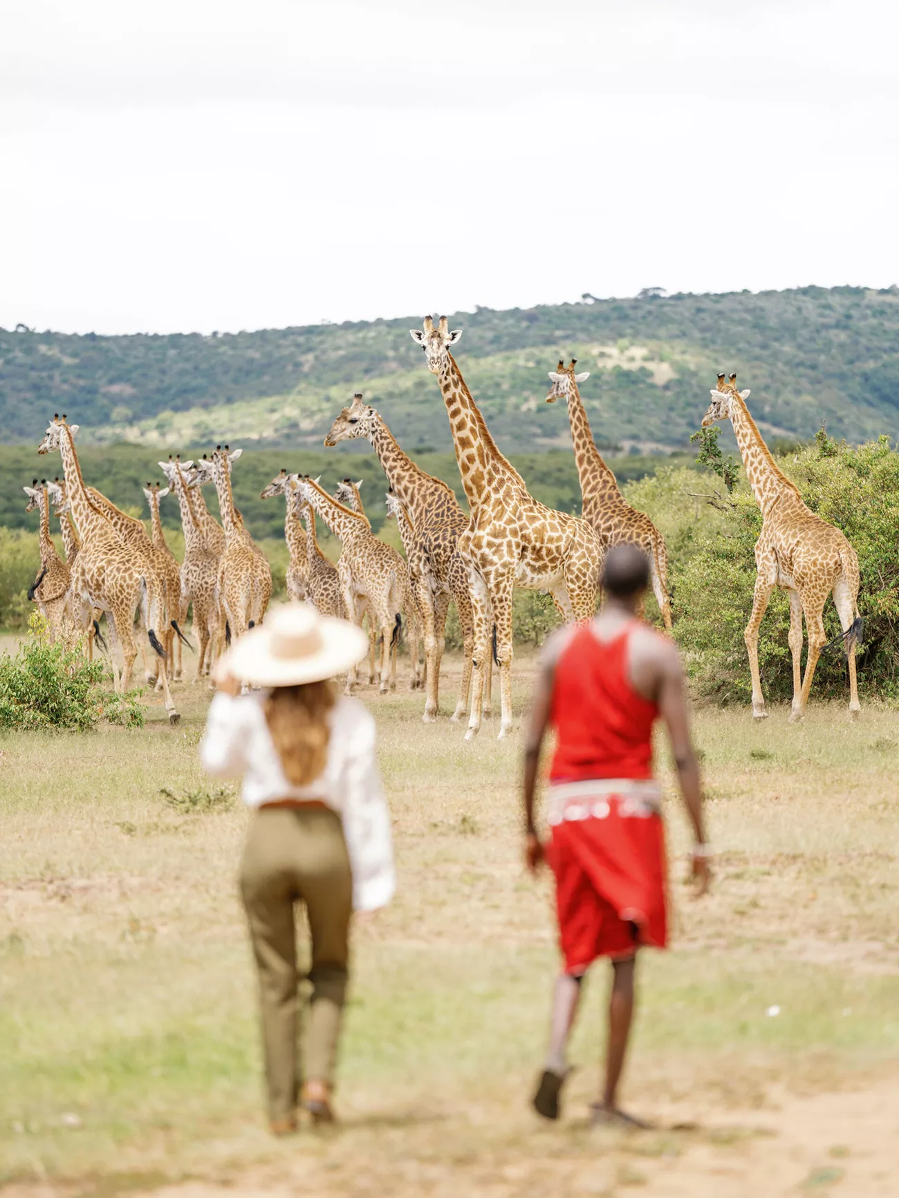 Safari Luxury no Mara Bushtops