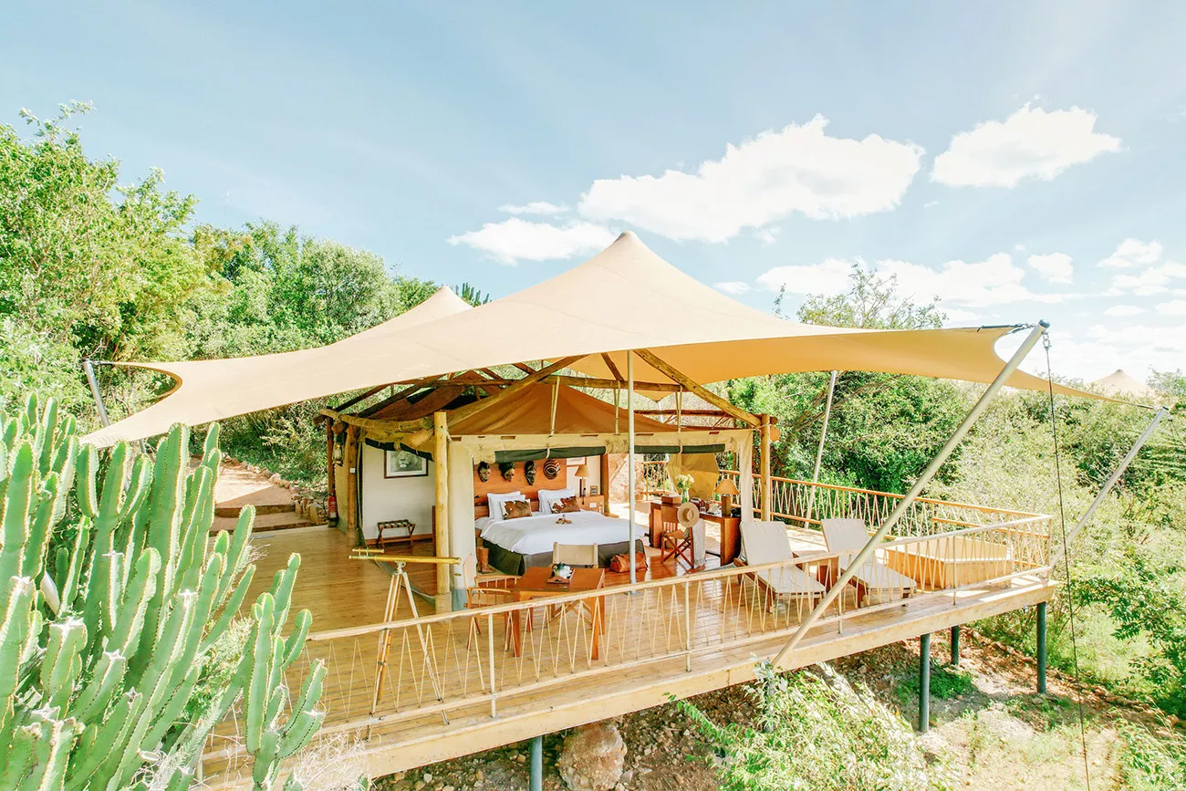 Safari Luxury no Mara Bushtops