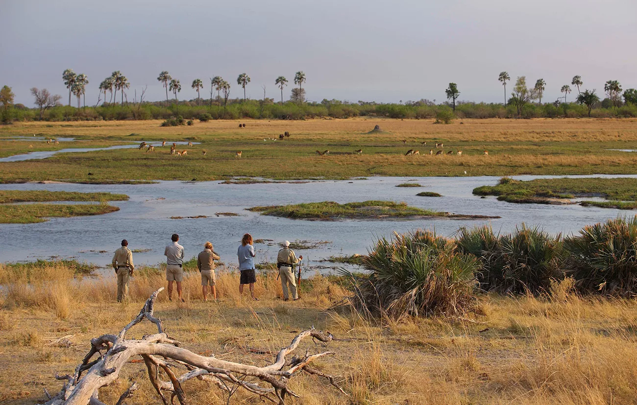Zimbábue e Botswana Deluxe com Victoria Falls & Highlights