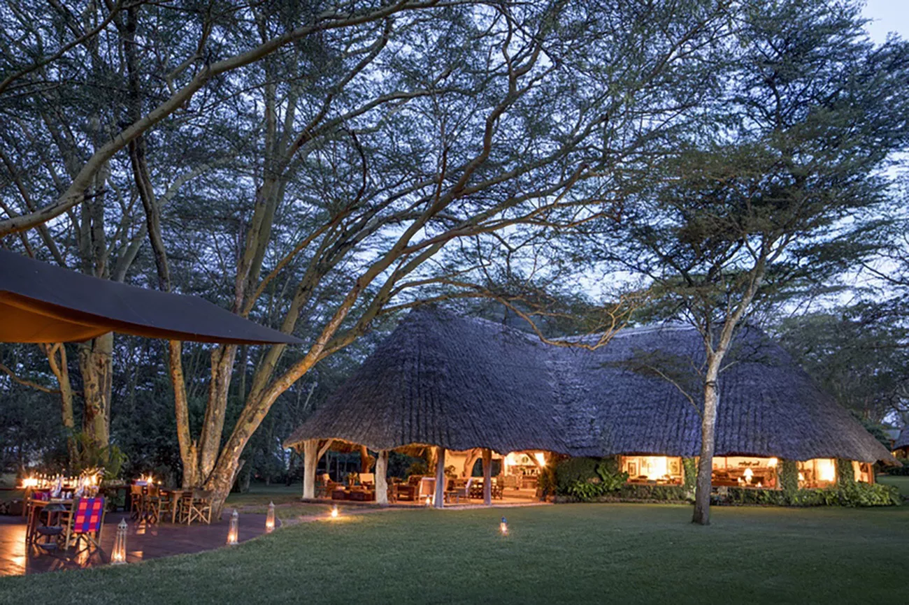 Deluxe Safari de Karibu Quênia