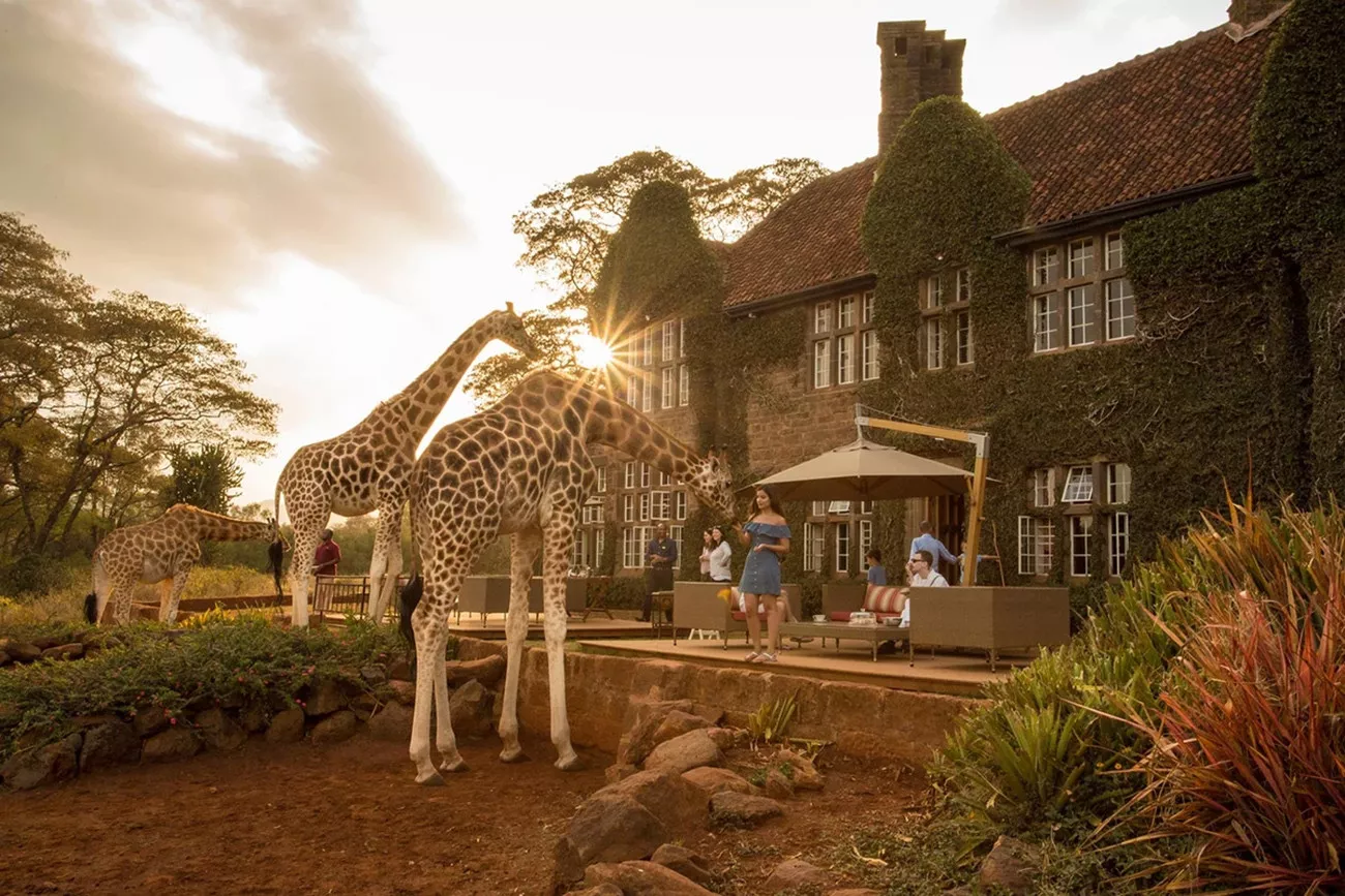 Deluxe Safari de Karibu Quênia