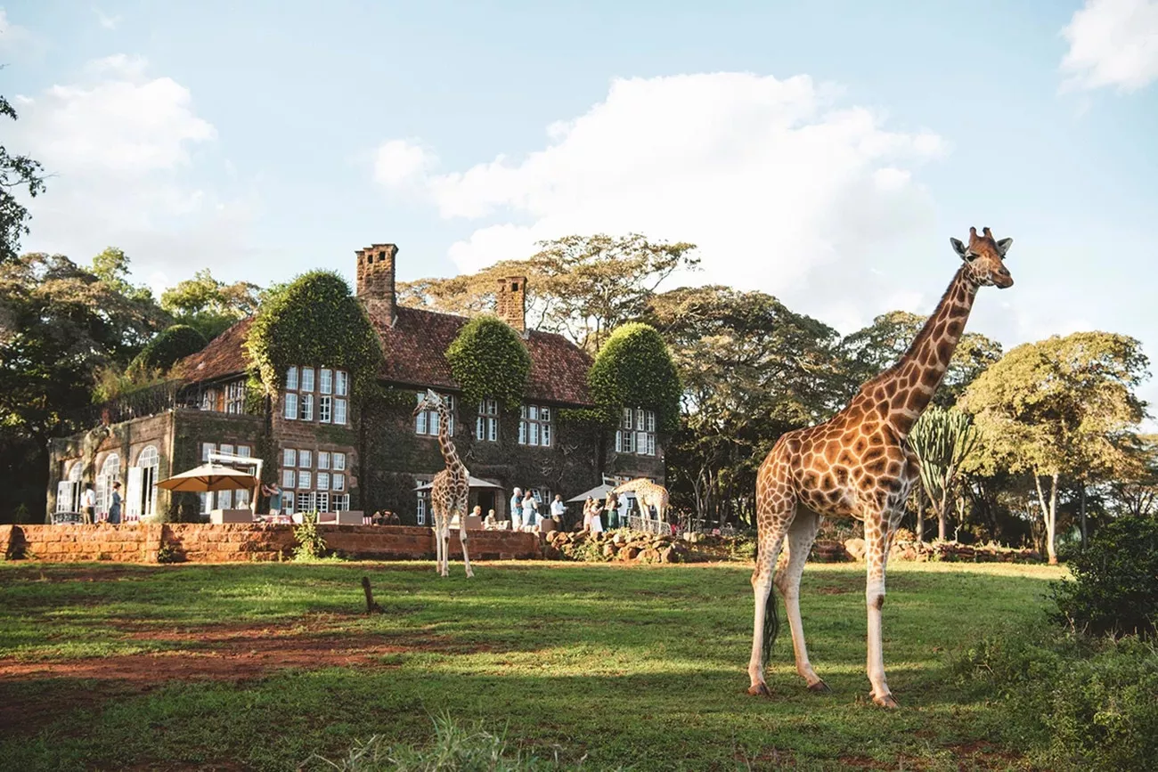 Deluxe Safari de Karibu Quênia